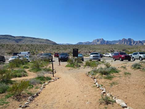 Genes Trailhead