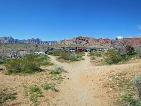 Genes Trailhead