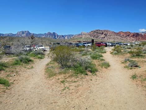 Genes Trailhead