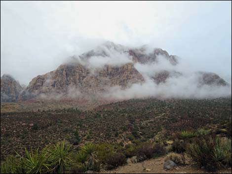 Pine Creek Trailhead