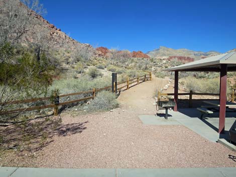 Red Spring Boardwalk