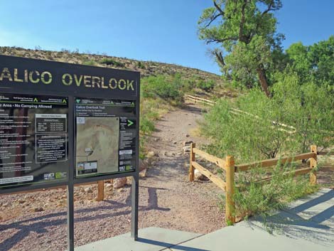 Calico Hills Loop