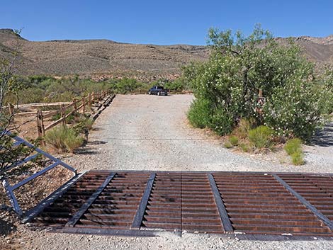 Wheeler Camp Spring Trailhead