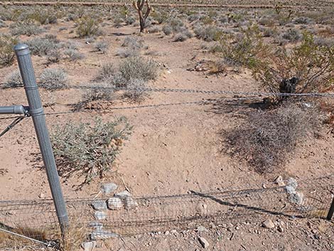 Ridgeline Loop Trail