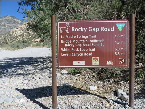 Willow Springs Trailhead