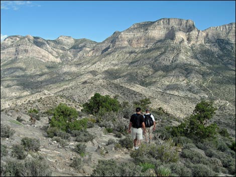 Turtlehead Peak