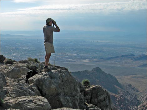 Turtlehead Peak