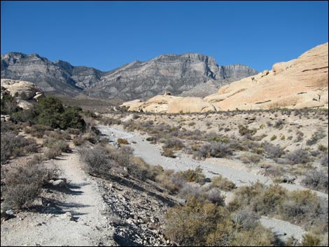 Turtlehead Peak