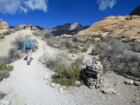 Turtlehead Mountain