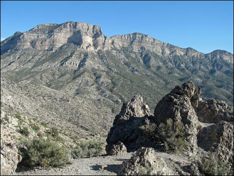 Turtlehead Peak - Summit Views