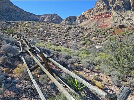 Cottonwood Valley Springs Loop Trail