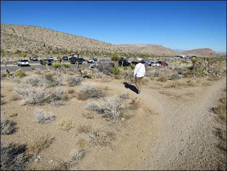 Two Springs Loop Trail