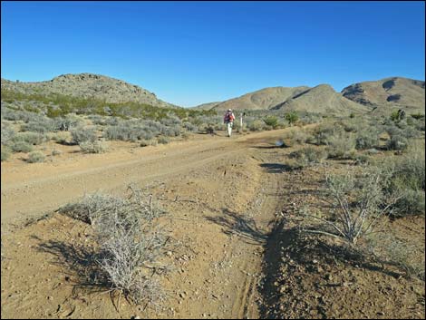 Cottonwood Valley Springs Loop Trail