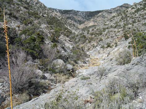 Waterfall Canyon