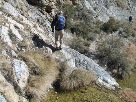 Waterfall Canyon