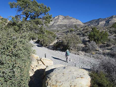 White Rock Loop Trail