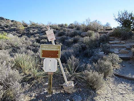 White Rock Loop Trail