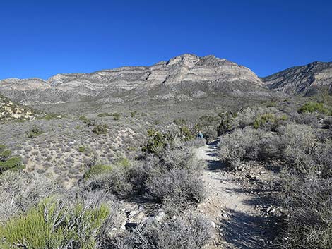 White Rock Loop Trail