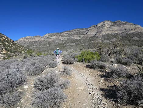 White Rock Loop Trail