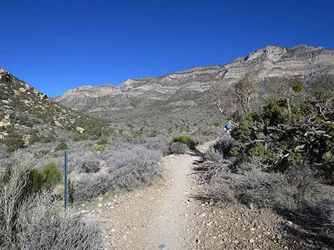 White Rock Loop Trail