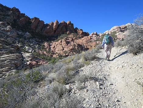 White Rock Loop Trail