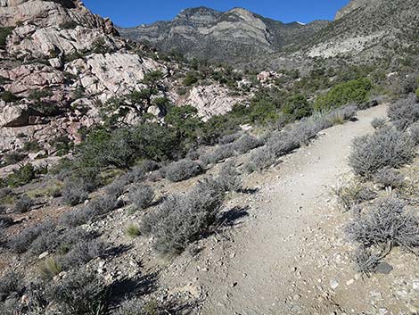 White Rock Loop Trail