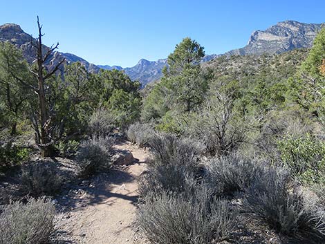 White Rock Loop Trail