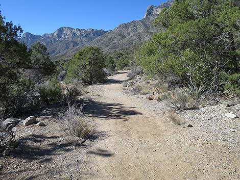 White Rock Loop Trail