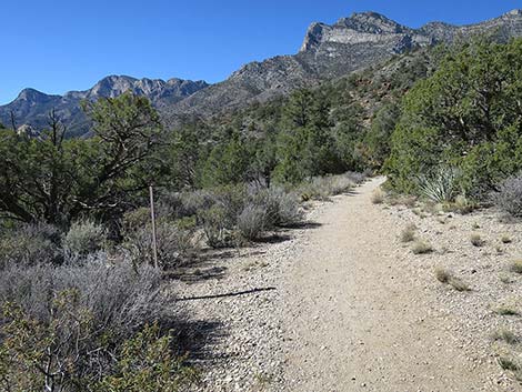 White Rock Loop Trail