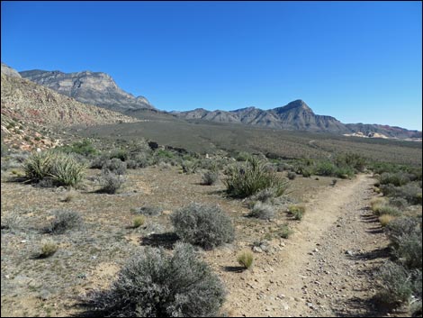 White Rock Loop Trail