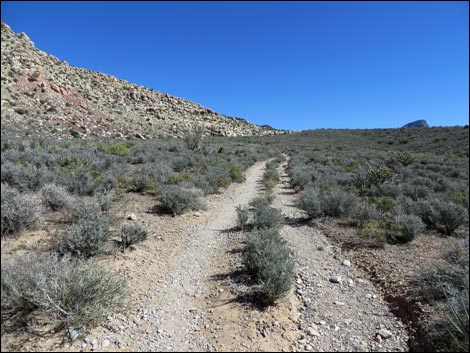 White Rock Loop Trail