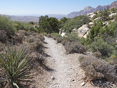 White Rock Loop Trail