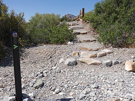 White Rock Loop Trail