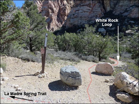 White Rock Loop Trail