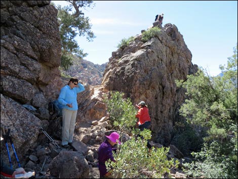 White Rock Loop Trail