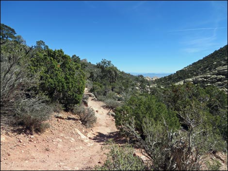 White Rock Loop Trail