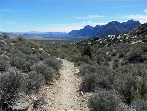 White Rock Loop Trail