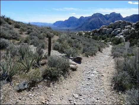 White Rock Loop Trail