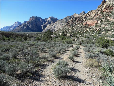 Great Circle Trail