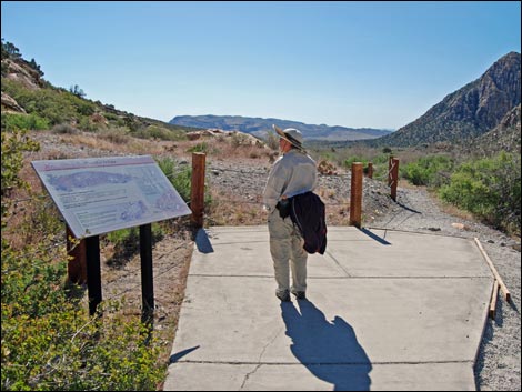 White Rock Loop Trail