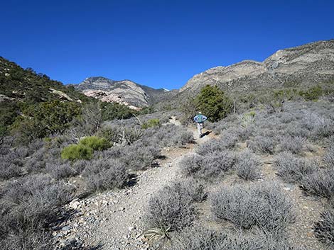 White Rock Loop Trail