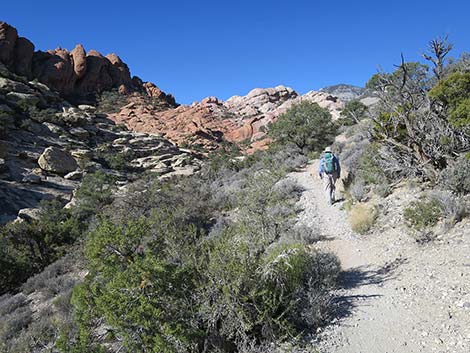 White Rock Loop Trail