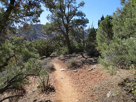 White Rock Loop Trail