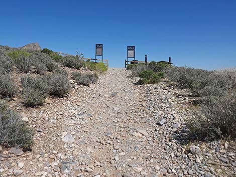 White Rock Spring