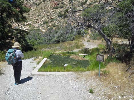 Red Rock Canyon National Conservation Area