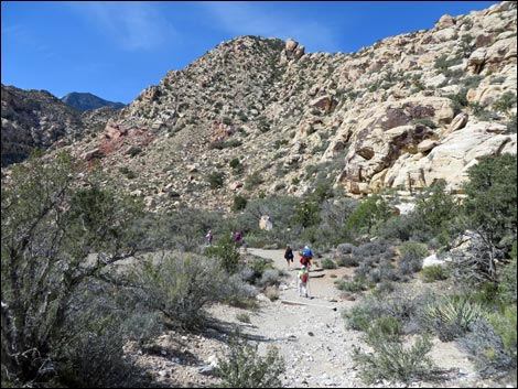 White Rock Spring