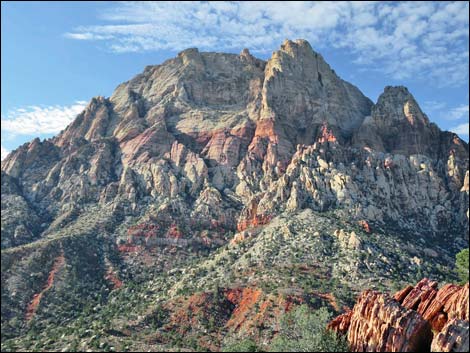 Wilson's Pimple Peak Trail