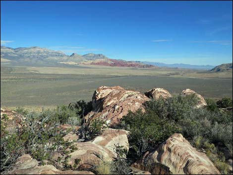 Wilson's Pimple Peak Trail