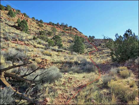 Wilson's Pimple Peak Trail