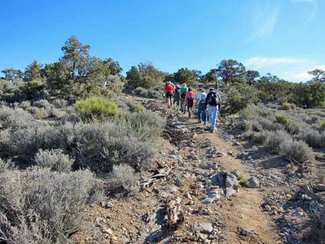 Windy Peak Route